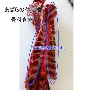 画像2: ペット用  えぞ鹿 骨付きアバラ肉  1kg　 生食OK！