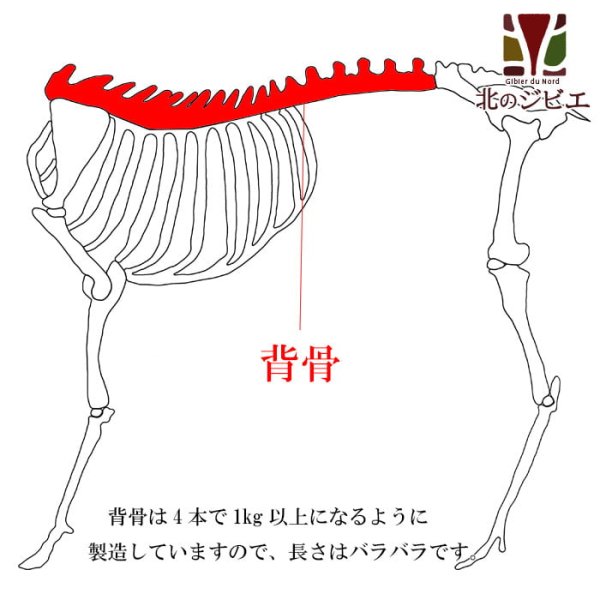 画像1: 犬用 エゾ鹿 背骨4本 (約1kg)   生食OK！【1人5個まで】 (1)